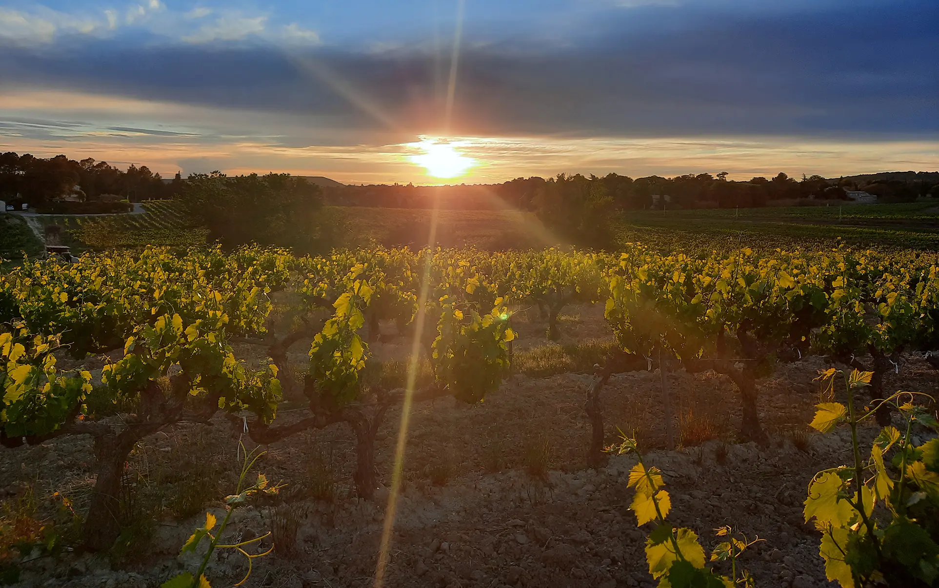cours-pilates-luberon-84.webp