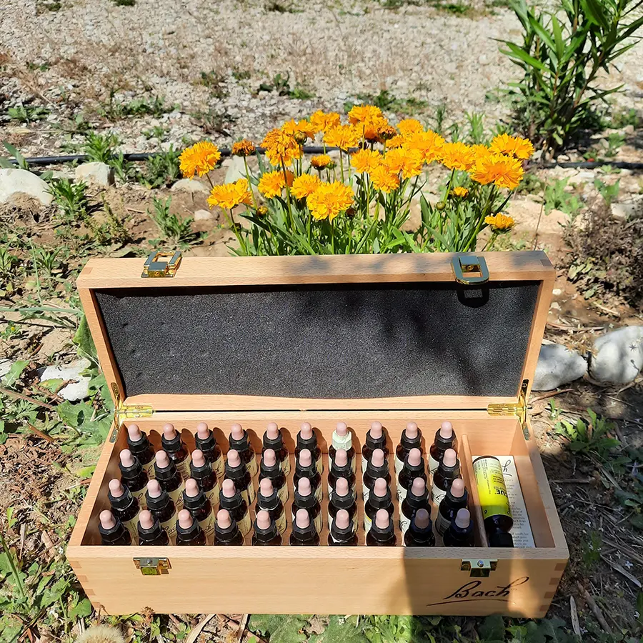 fleurs-de-bach-vaucluse.webp