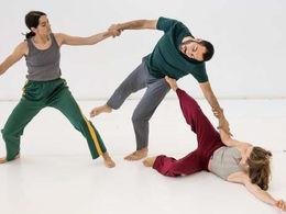 BIRDS TRIO // Compagnie TRANS
