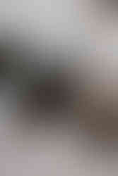 details pak en accessoires van de bruidegom