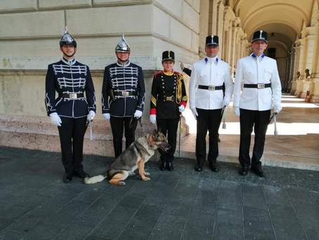 Patruljiranje pred parlamentom v Budimpešti v orožniški uniformi