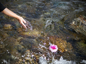 Exploring the Impact of Nature's Elements on Healing Spaces