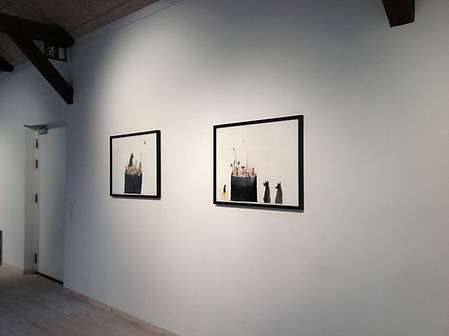 2013 udstillings view 1.jpg
