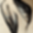 Andy_Koa_Anatomical_Drawing_feathers_c20b18e3-1ad4-4212-8124-efe9c387576f.png