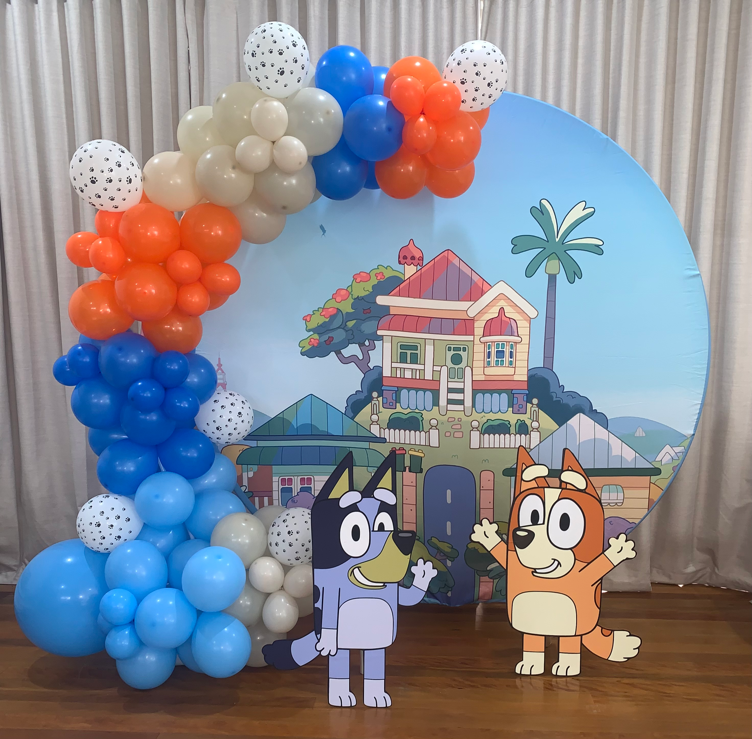 Bluey and Bingo party package 