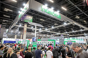 MG_4353-1.jpg