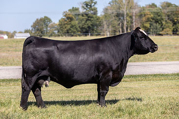 Maria donor pic_edited.jpg