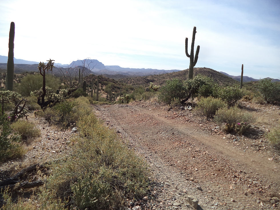 Thumbnail: Peralta Gulch #2