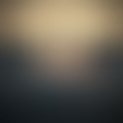 DOWNLOAD Wardens of the Mist by SECONDFACE [FULL MP3 ALBUM]