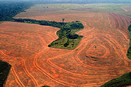 Imagens aéreas Meio Ambiente