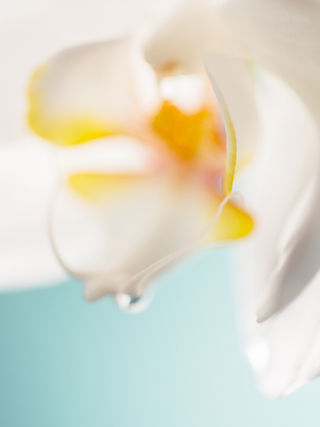 flower-abstract.jpg