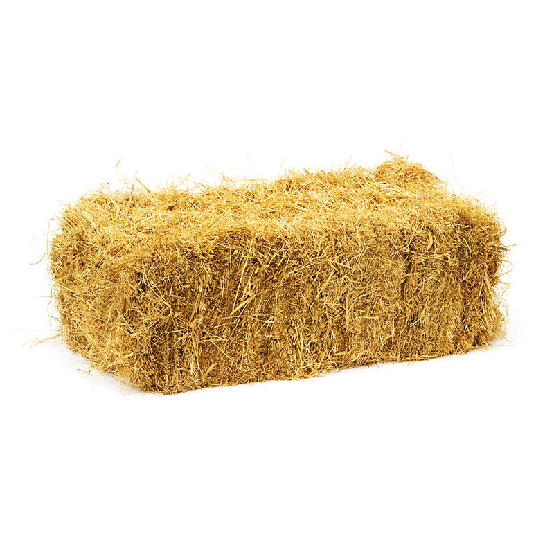 Straw Hay Bale
