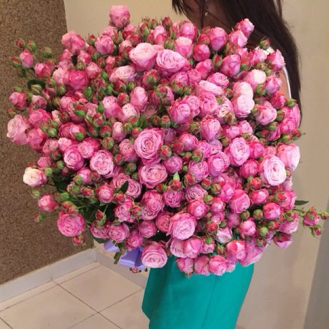 Кустовые Розы Купить В Туле