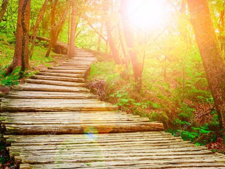 Praxis für Systemische Familientherapie Heilpraktikerin (Psyschotherapie)