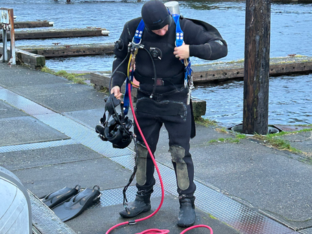 2025-10-31 Scrubbing the bottom