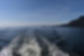 DSC_0538_2.JPG
