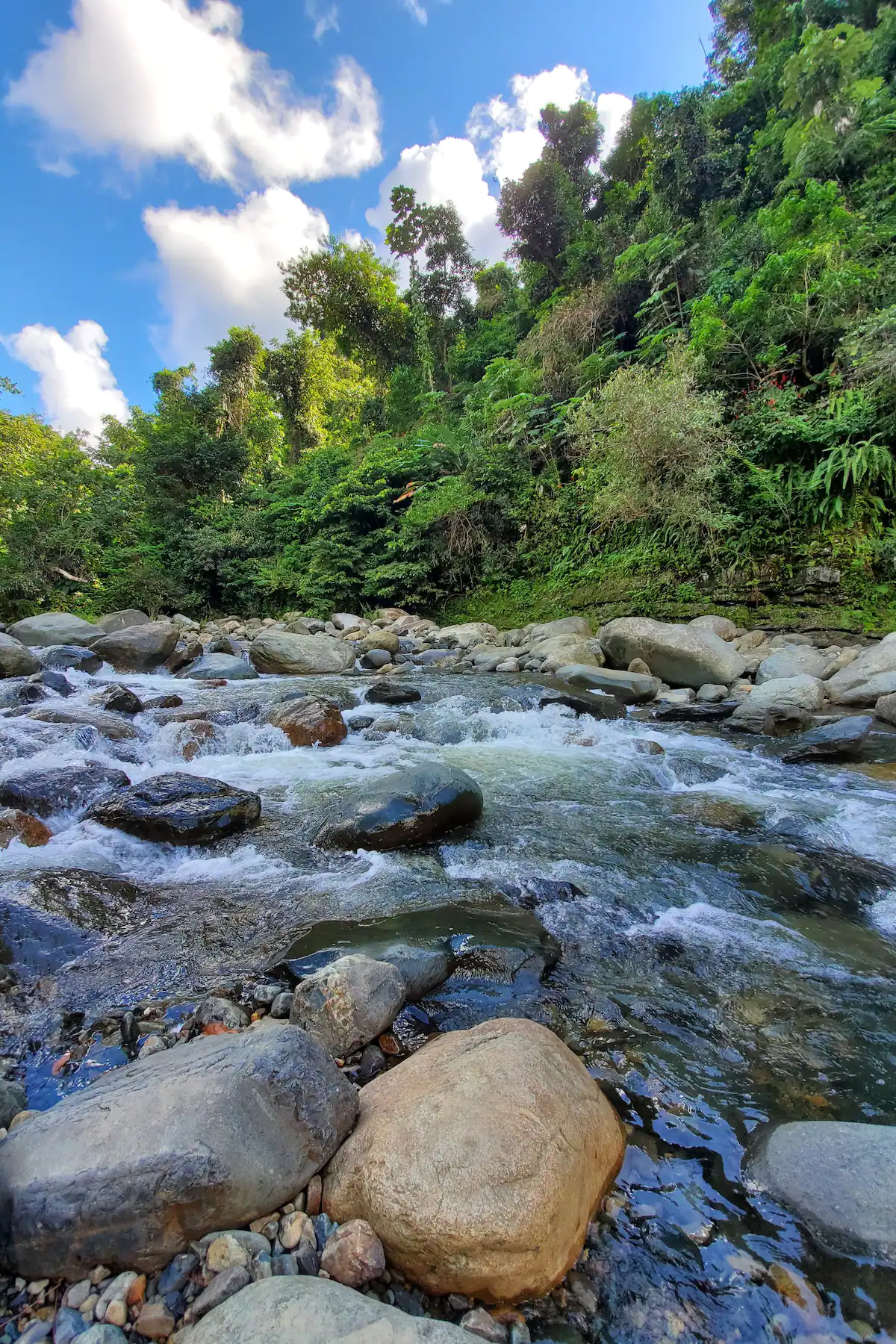 El Yunque National Rainforest