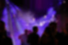IMG_2138.jpeg
