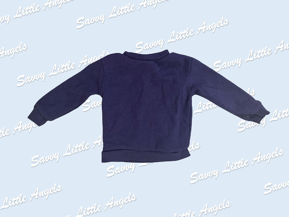 Bluey Sweatshirt Back View
