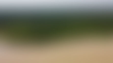 Temporadas Región Amazónica