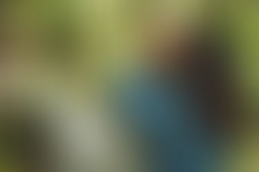 Exploración de la Naturaleza