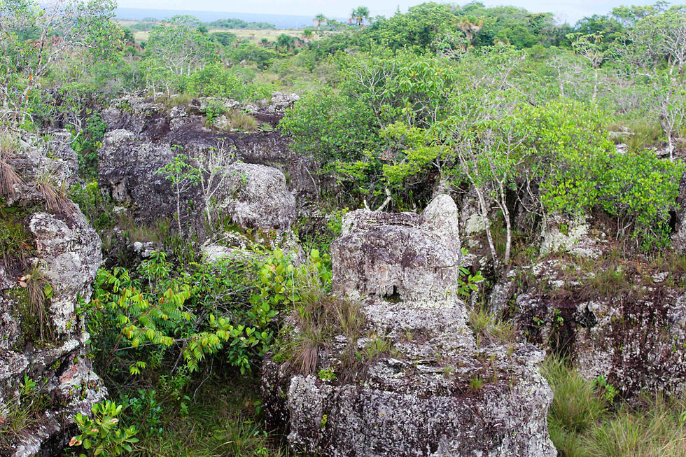 Miniatura: Puerta de Orión, Pictogramas y Navegación por el Río Guayabero en Guaviare