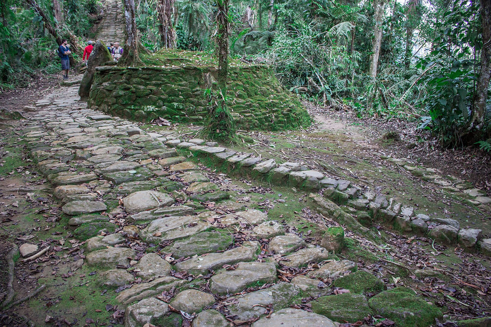 Miniatura: Trekking en Ciudad Perdida desde Santa Marta: Historia y Naturaleza