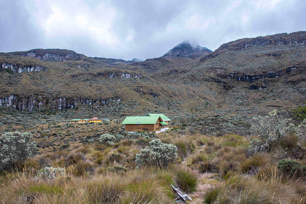 Miniatura: Nevado Santa Isabel: Aventura Glaciar y Laguna Verde en los Parques Nacionales