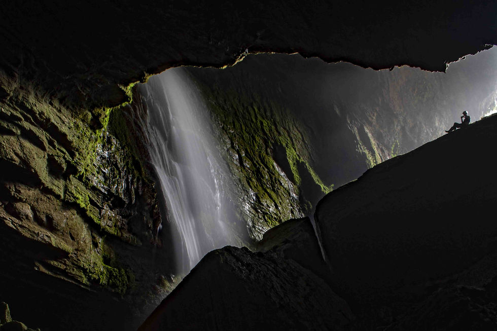 Miniatura: Bosque de Pandora: 3 Días de Aventura Explorando Cuevas, Bosques y Montañas
