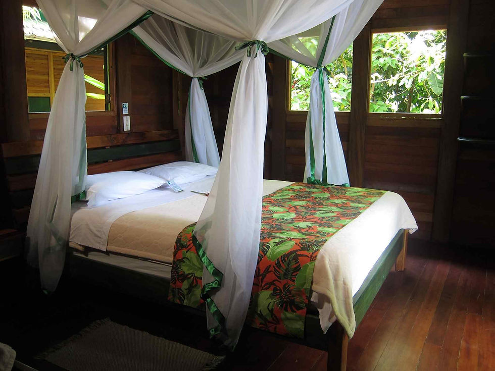 Miniatura: Liberación de Tortugas en El Valle Chocó. 4 Noches Ecolodge Frente al Mar