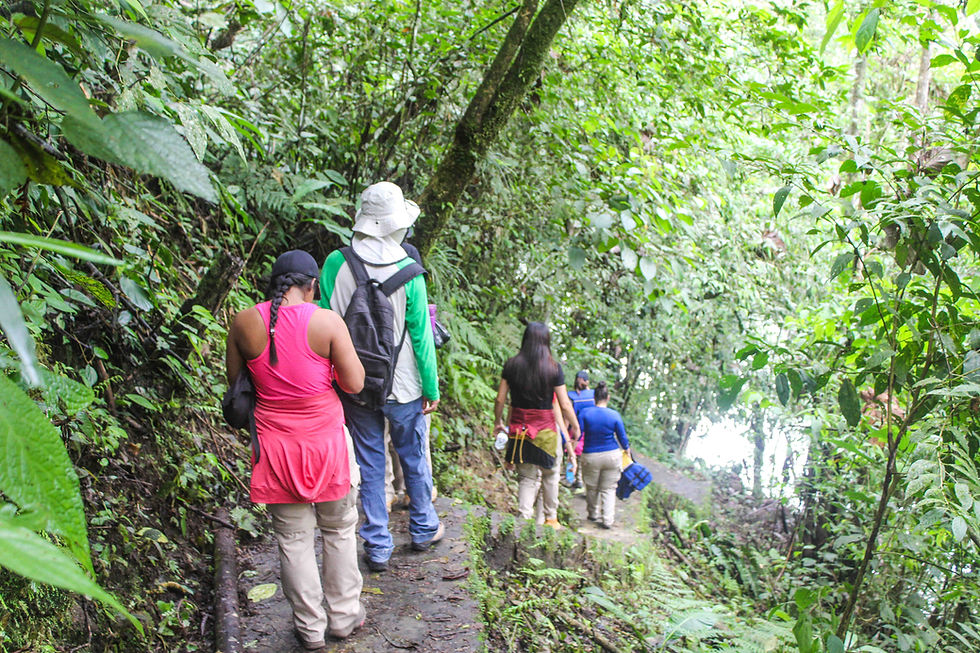 Miniatura: San Luis Natural: Torrentismo, Charcos y Cañón del Río Samaná (Cerca a Medellín)