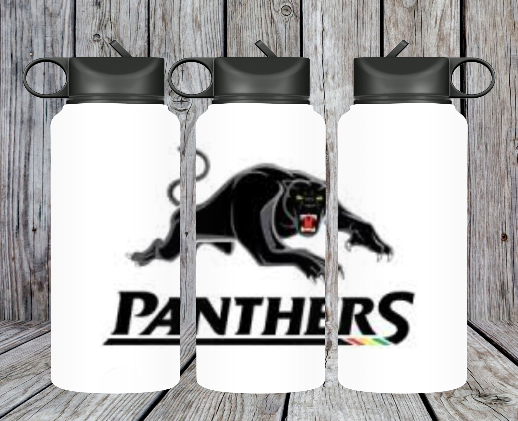 NRL Panthers
