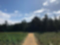 240846577_617841469205224_1294258434016328162_n.jpg