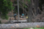 DSC_0100-komp.jpg