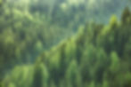AdobeStock_113620606.jpg