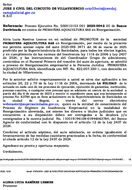 Captura de pantalla 2025-04-24 132746.png