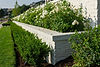 luxury-front-yard.jpg