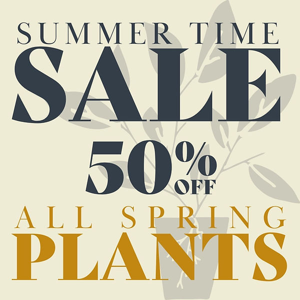 We Grow Things Country Gardens Greenhouse Vanleer