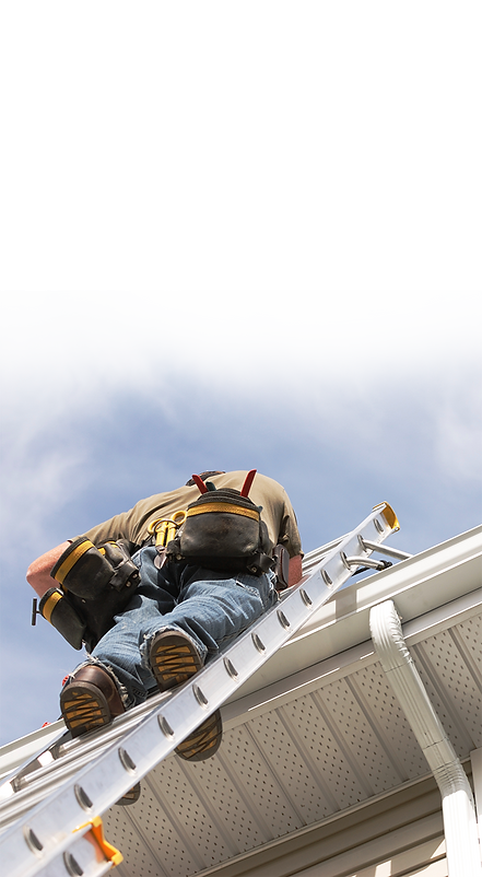 Worker-on-Ladder_edited.png