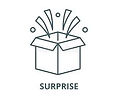 surprise.jpeg