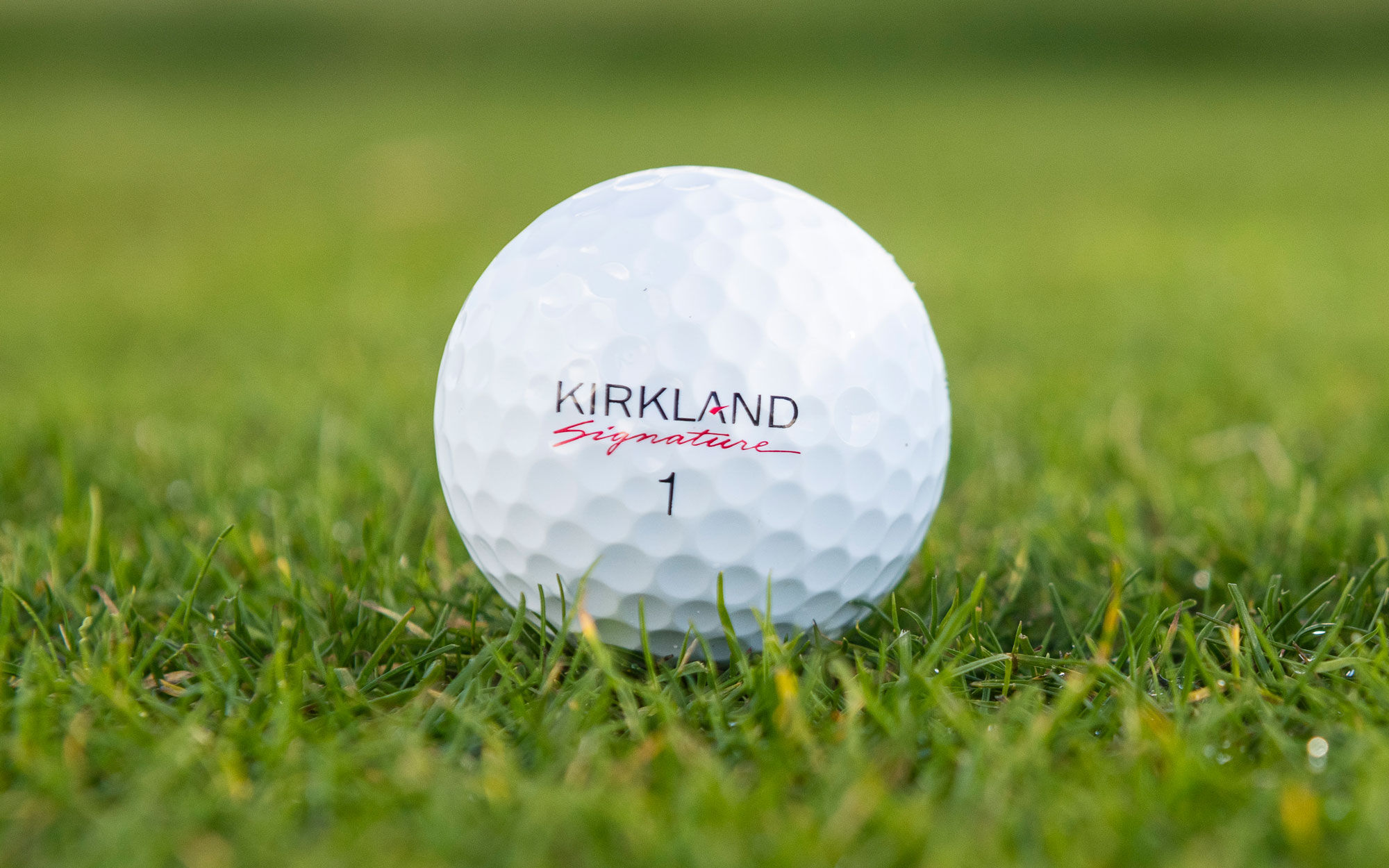 Kirkland Signature Mix