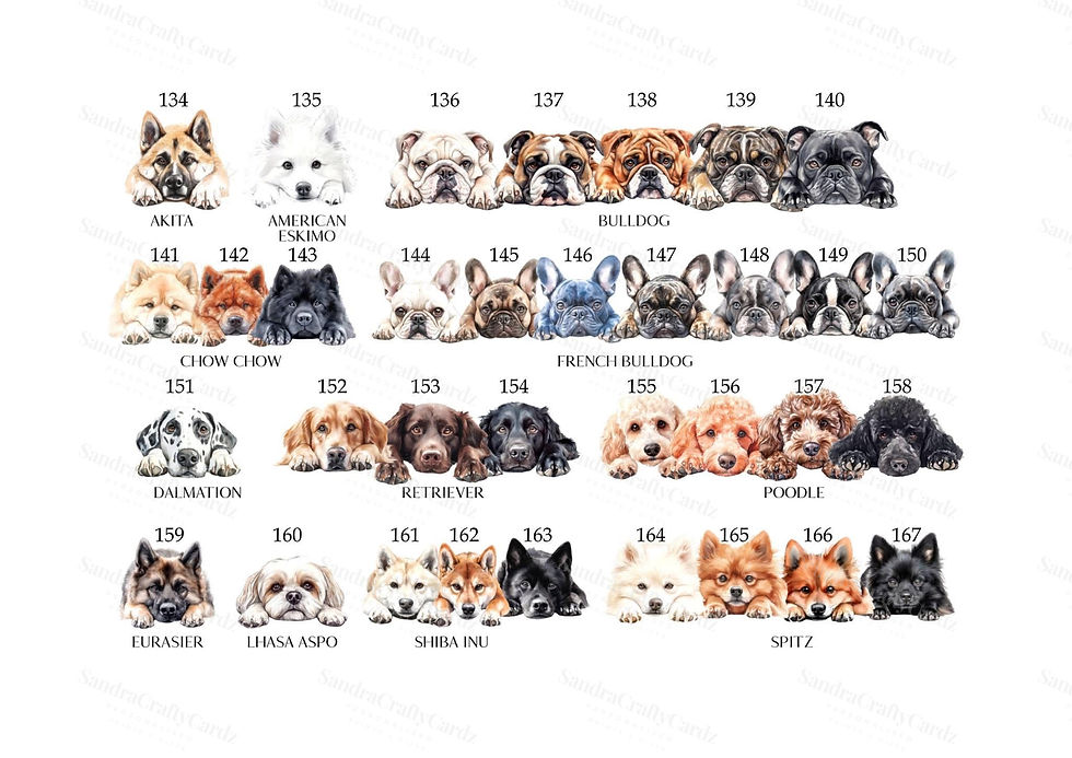 Thumbnail: A personalised pet memorial card 