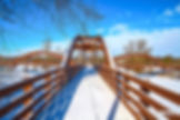 Tridge