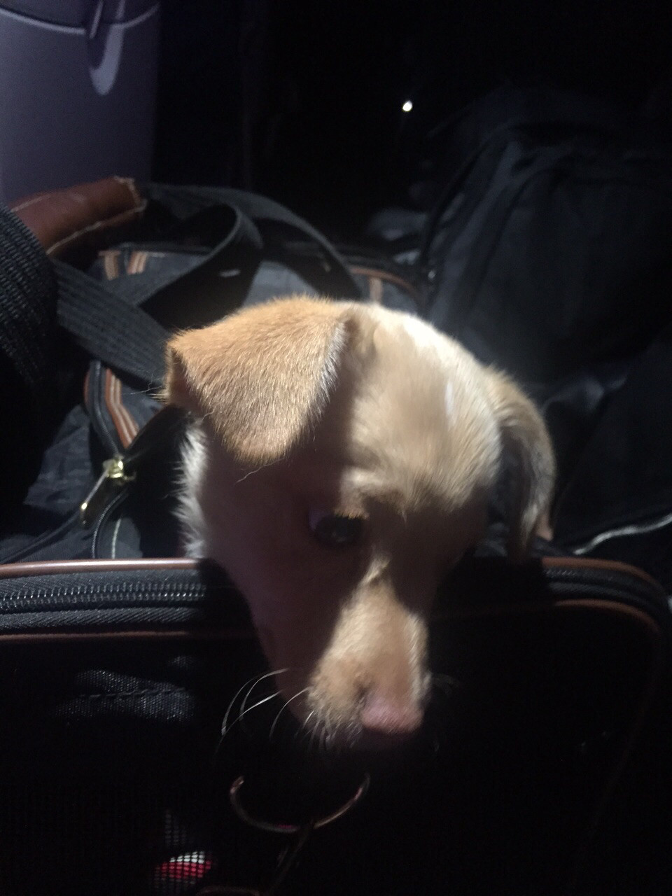 image5.JPEG