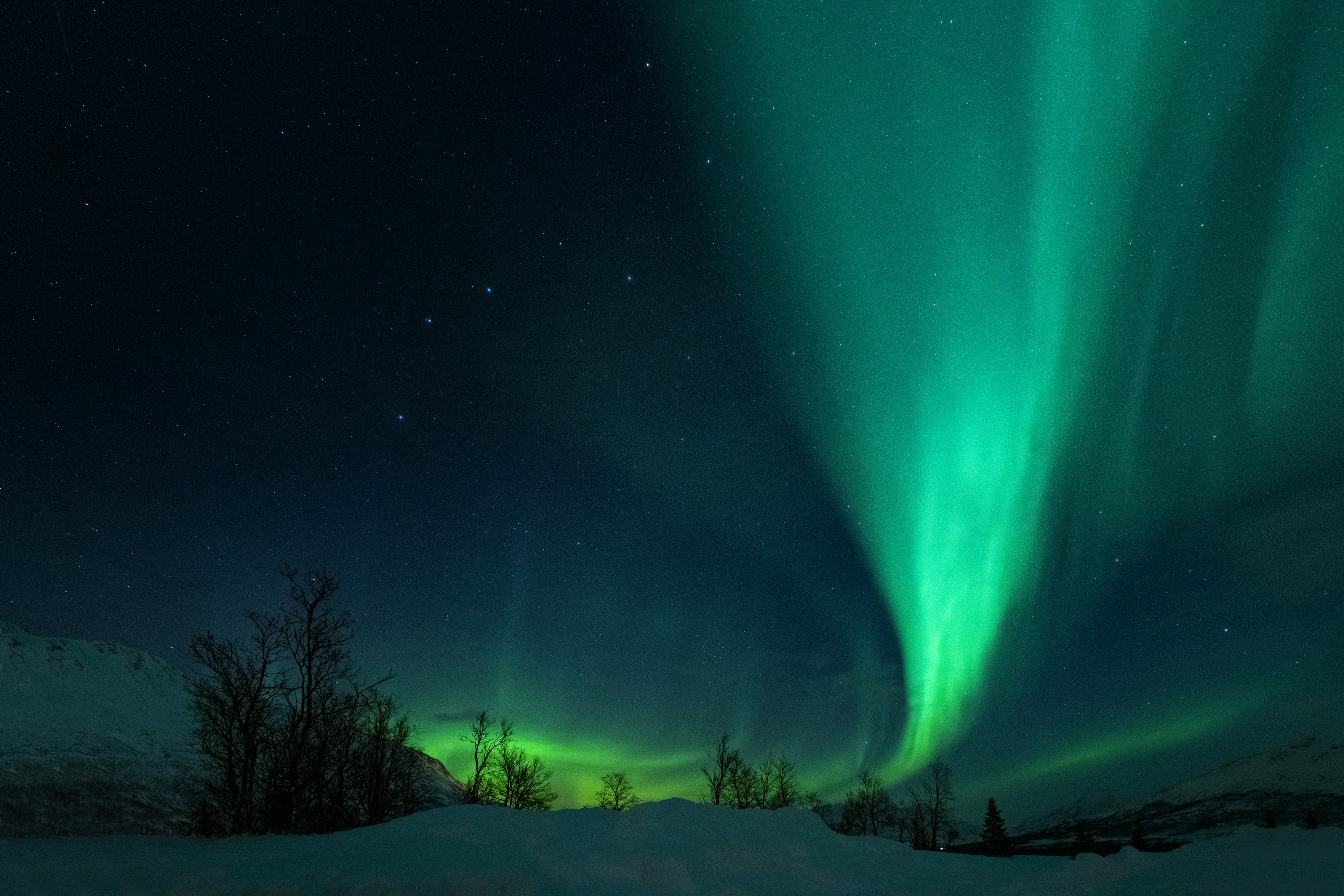 Aurora 9