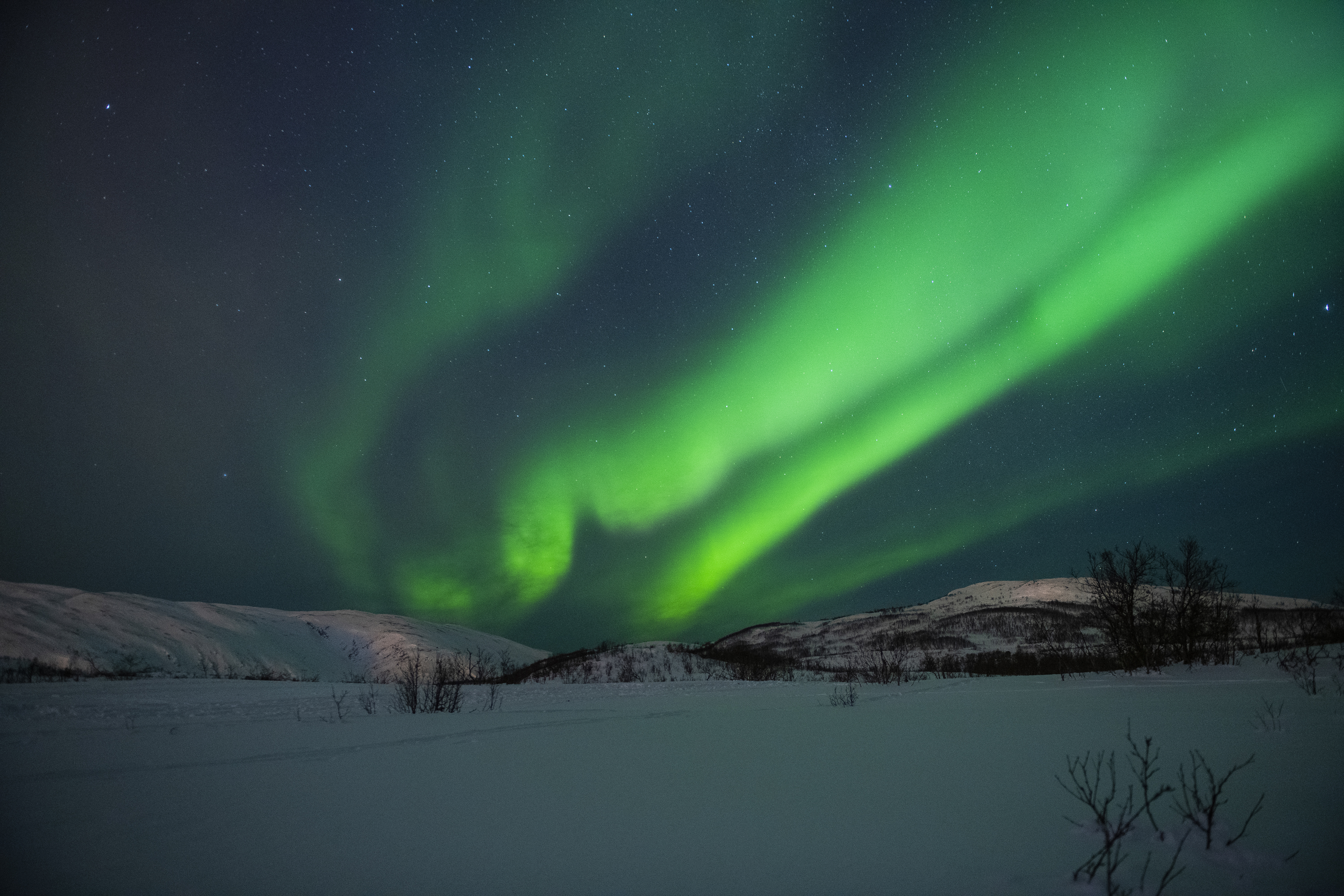 Aurora 5