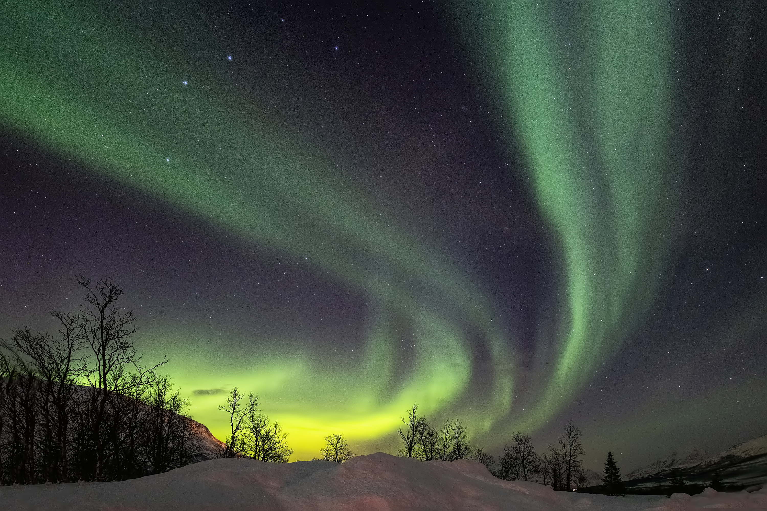 Aurora 4