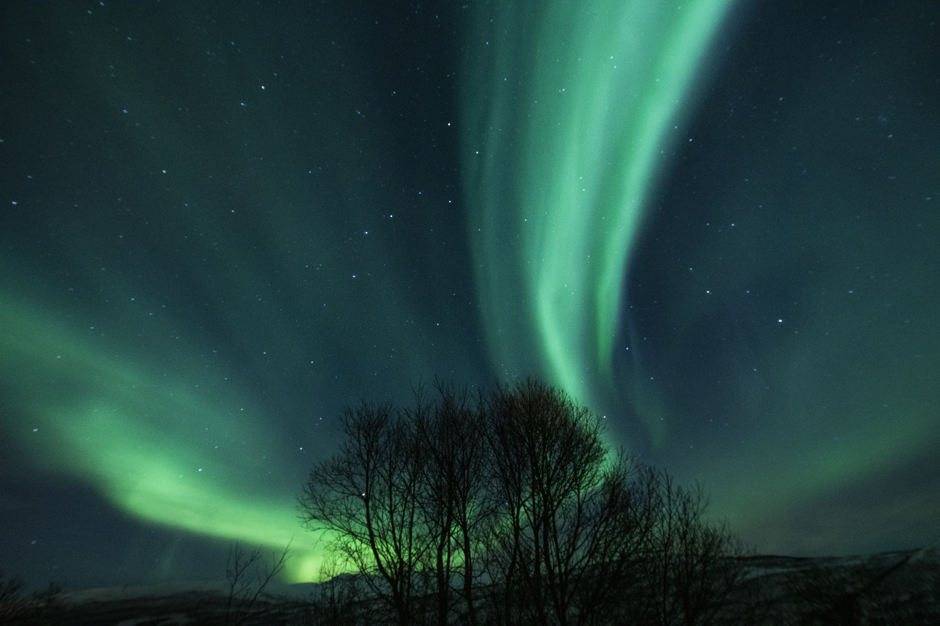 Aurora 2