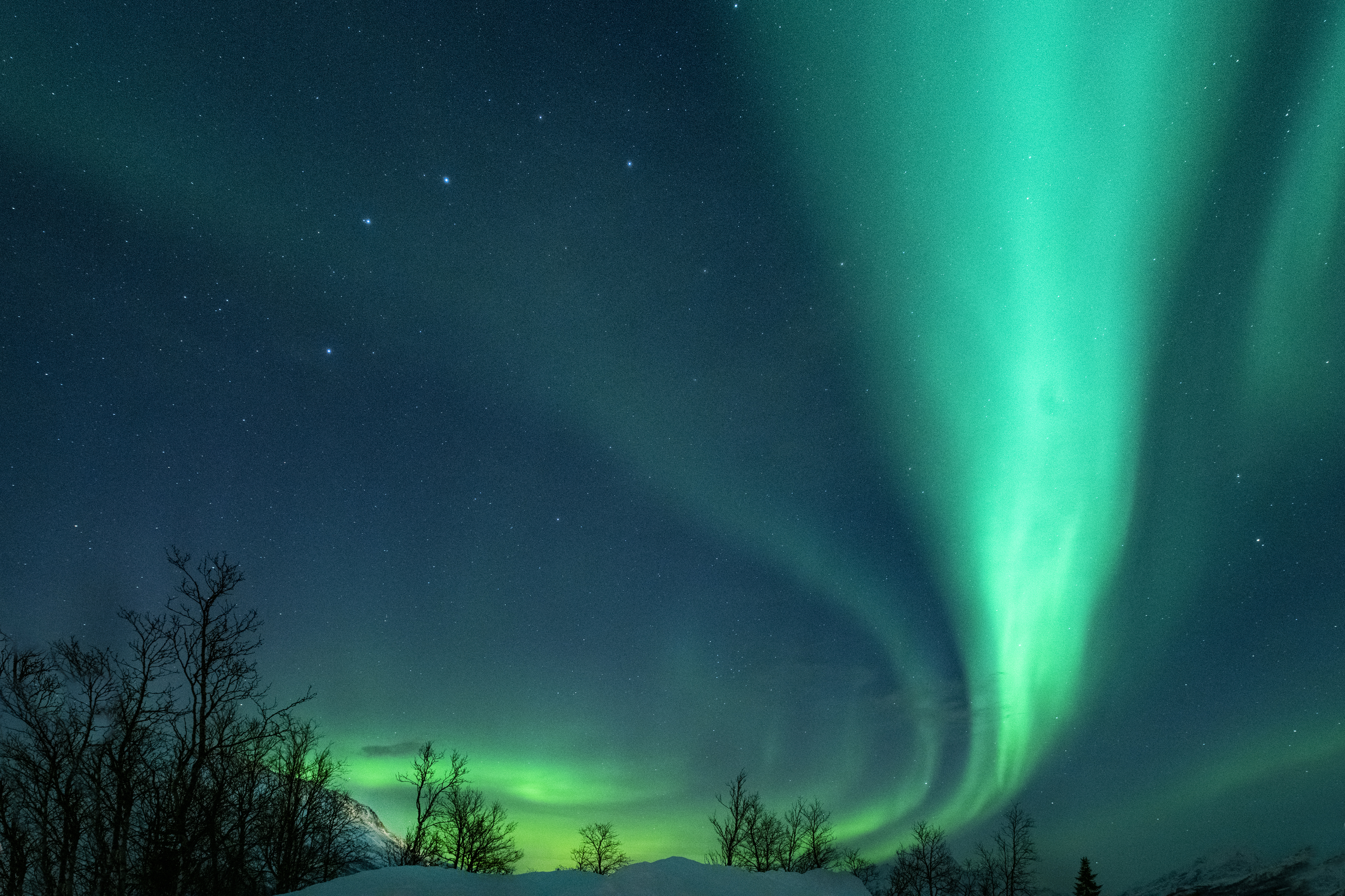 Aurora 12
