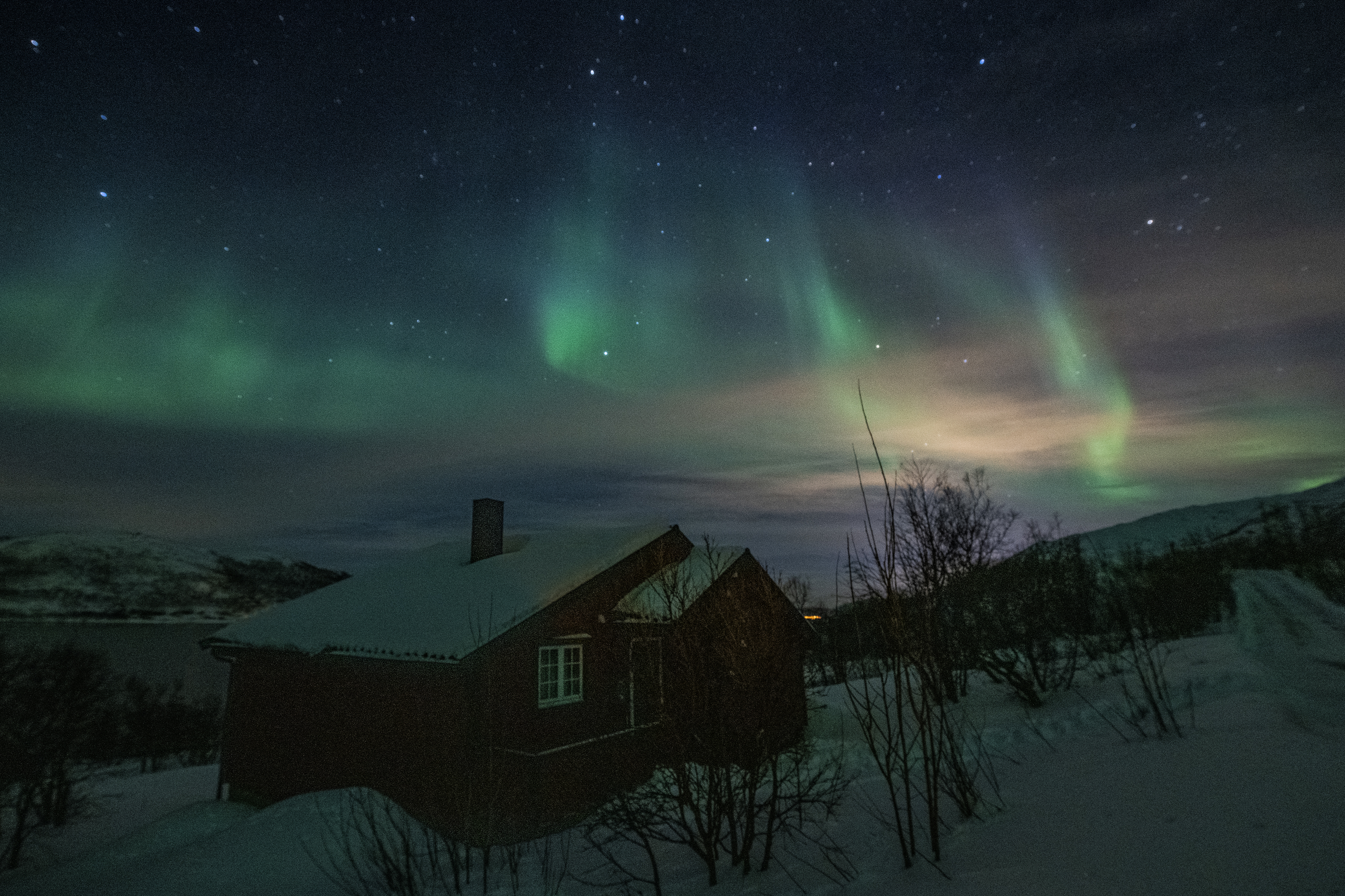 Aurora 3